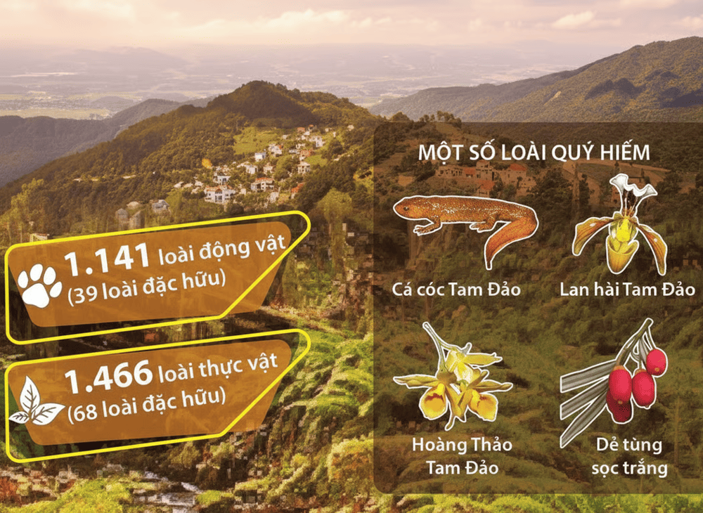 Vườn Quốc gia Tam Đảo sở hữu hệ động thực vật phong phú với nhiều loài quý hiếm